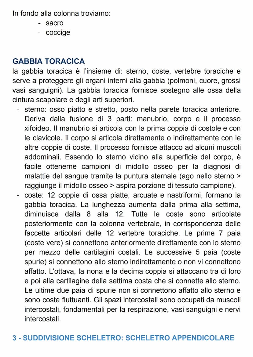 SISTEMA SCHELETRICO
Il nostro scheletro è un endoscheletro, formato da 206 ossa singole
connesse da 68 articolazioni.
Le ossa sono formate d