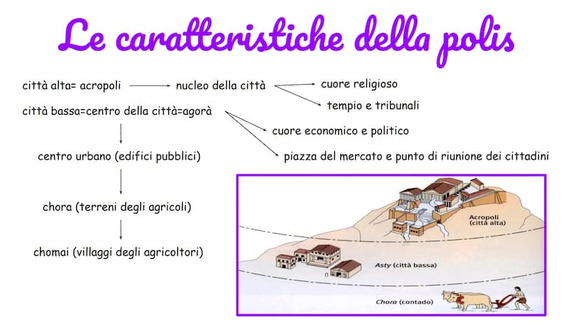 polis
città
molte nate per
sinecismo
unificazione di entità
politiche, precedentemente
indipendenti, in un unico regno
autonomia
La polis gr