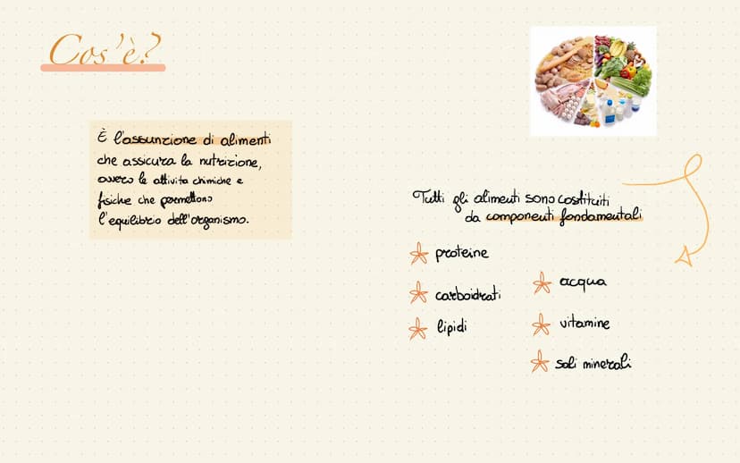 
<p>La piramide alimentare mediterranea rappresenta le quantità giornaliere dei vari alimenti. Quelli che si trovano alla base vanno mangiat