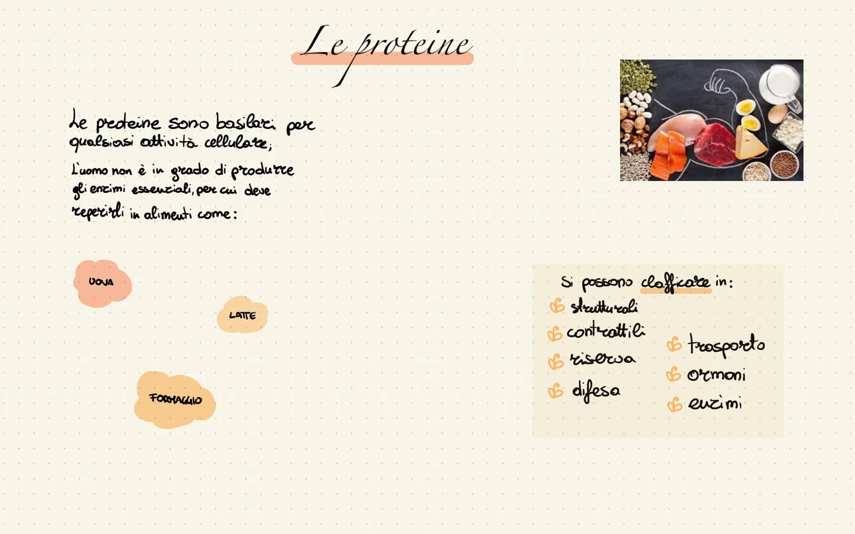 
<p>La piramide alimentare mediterranea rappresenta le quantità giornaliere dei vari alimenti. Quelli che si trovano alla base vanno mangiat