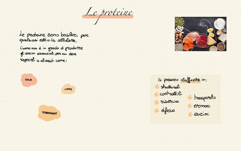 
<p>La piramide alimentare mediterranea rappresenta le quantità giornaliere dei vari alimenti. Quelli che si trovano alla base vanno mangiat