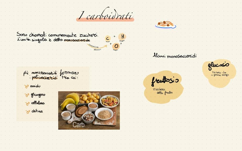 
<p>La piramide alimentare mediterranea rappresenta le quantità giornaliere dei vari alimenti. Quelli che si trovano alla base vanno mangiat