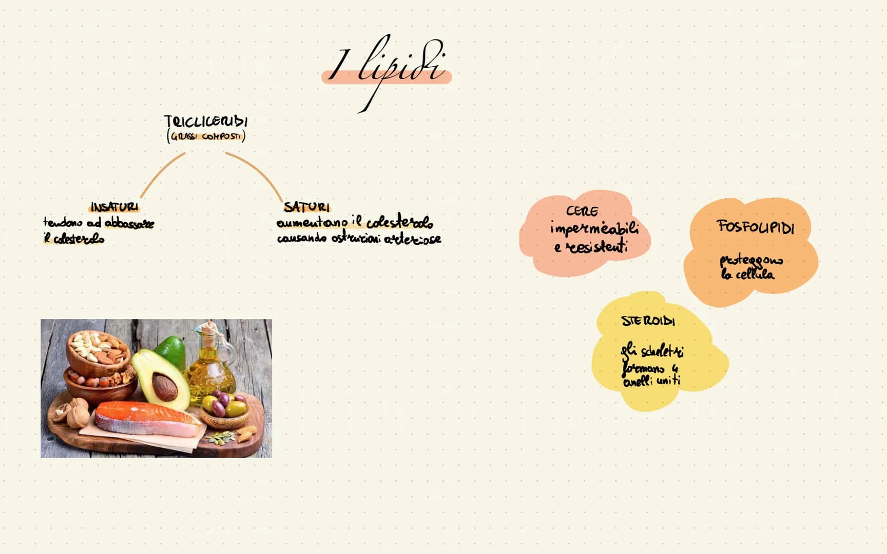 
<p>La piramide alimentare mediterranea rappresenta le quantità giornaliere dei vari alimenti. Quelli che si trovano alla base vanno mangiat