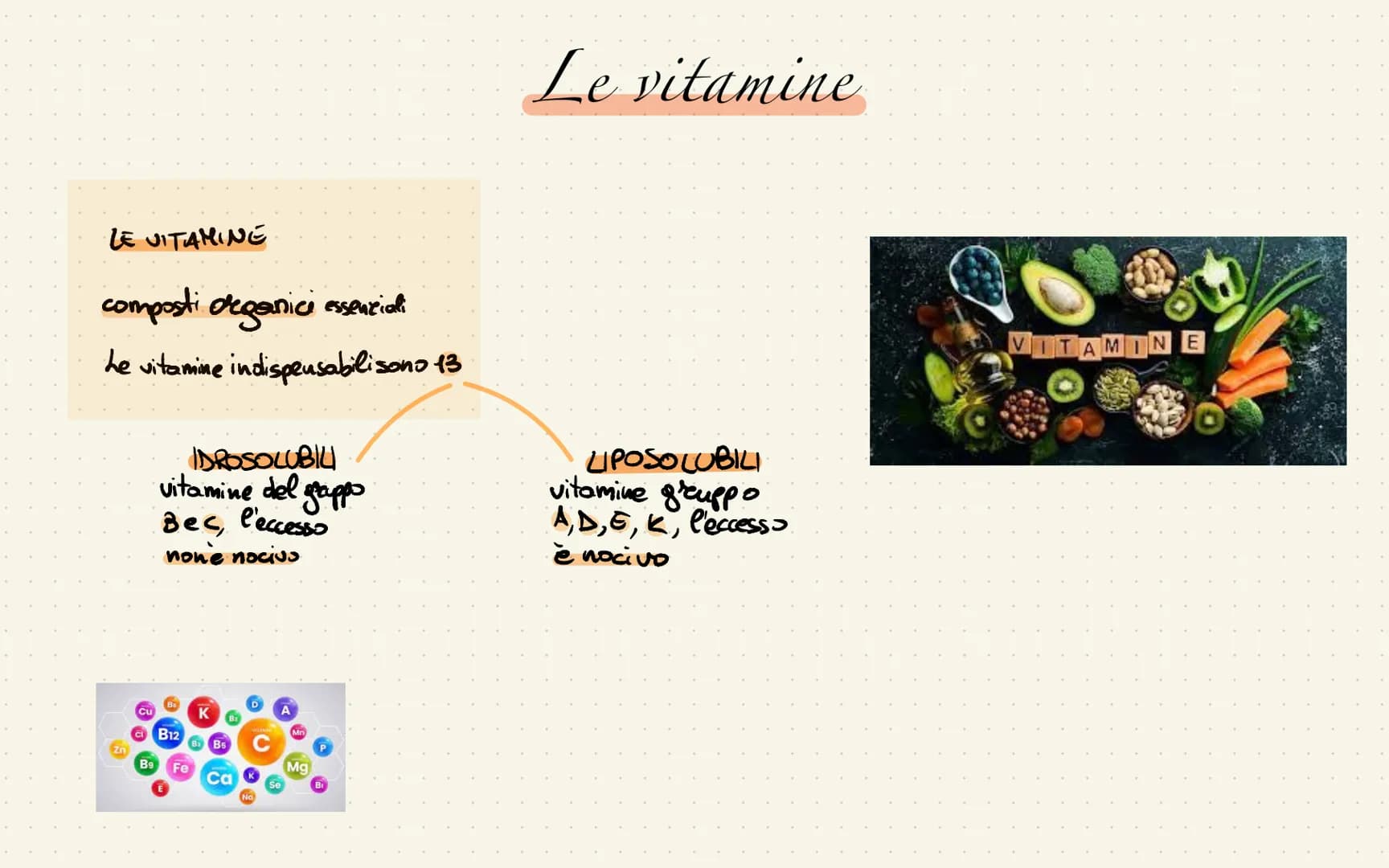 
<p>La piramide alimentare mediterranea rappresenta le quantità giornaliere dei vari alimenti. Quelli che si trovano alla base vanno mangiat