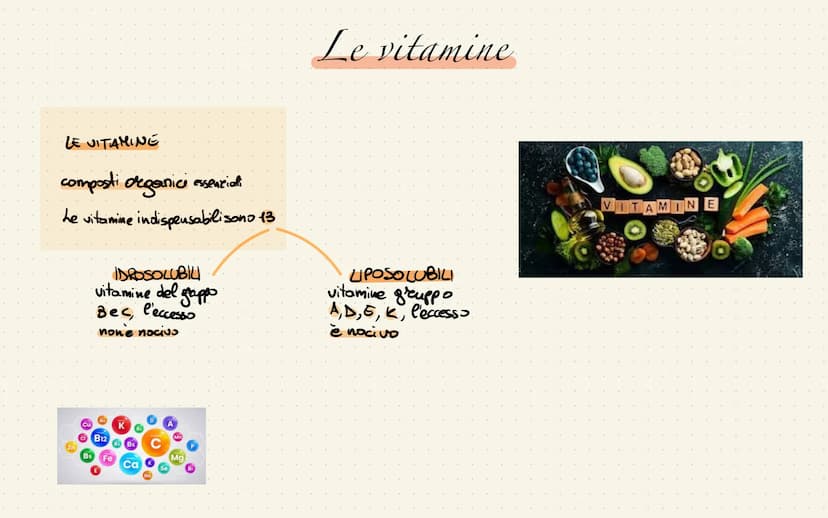 
<p>La piramide alimentare mediterranea rappresenta le quantità giornaliere dei vari alimenti. Quelli che si trovano alla base vanno mangiat