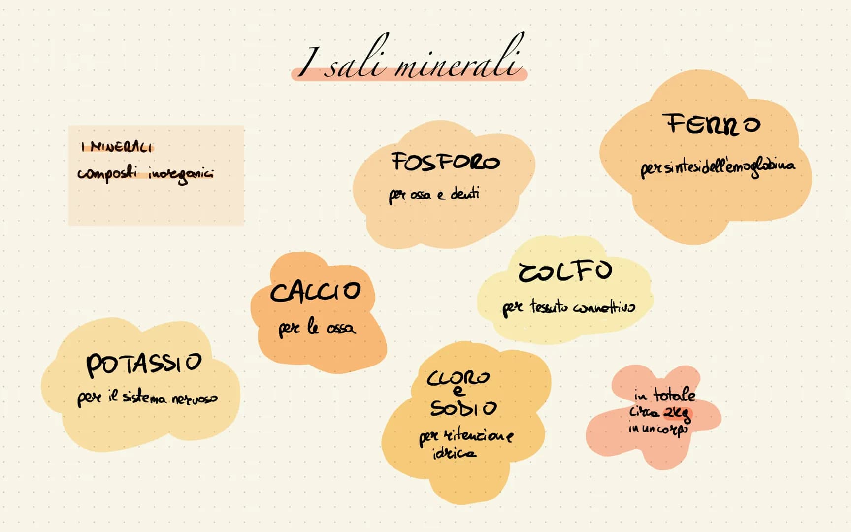 
<p>La piramide alimentare mediterranea rappresenta le quantità giornaliere dei vari alimenti. Quelli che si trovano alla base vanno mangiat
