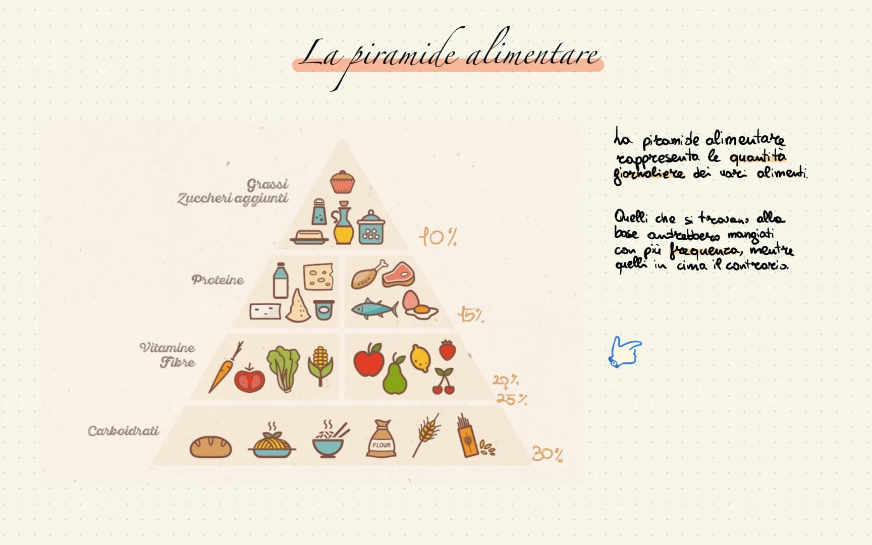
<p>La piramide alimentare mediterranea rappresenta le quantità giornaliere dei vari alimenti. Quelli che si trovano alla base vanno mangiat