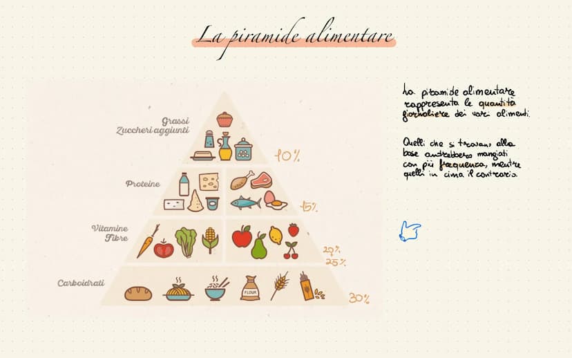 
<p>La piramide alimentare mediterranea rappresenta le quantità giornaliere dei vari alimenti. Quelli che si trovano alla base vanno mangiat