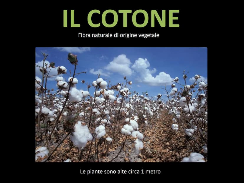 Le fibre tessili FIBRE
TESSILI
NATURALI
CHIMICHE
Miten
VEGETALI
ARTIFICIALI
ANIMALI
SINTETICHE
MINERALI Si chiamano fibre tessili quei mater