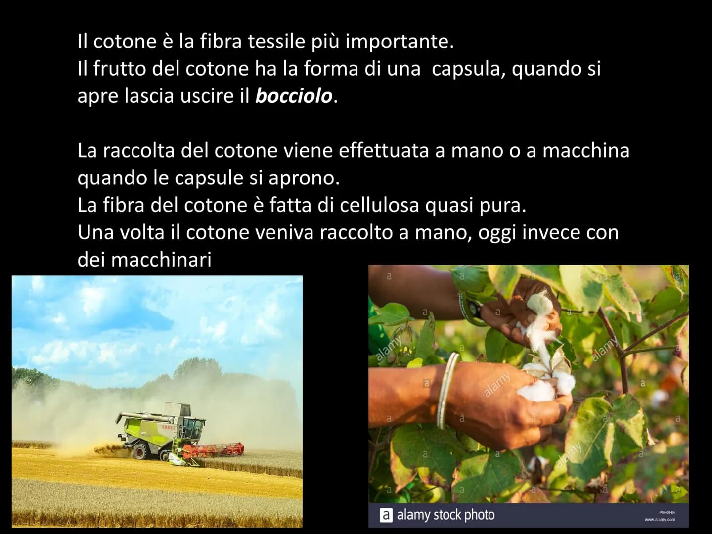 Le fibre tessili FIBRE
TESSILI
NATURALI
CHIMICHE
Miten
VEGETALI
ARTIFICIALI
ANIMALI
SINTETICHE
MINERALI Si chiamano fibre tessili quei mater