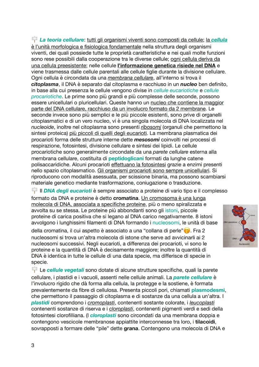 BIOLOGIA
Le molecole organiche sono in grado di interagire tra loro tramite forze deboli
non covalenti e legami ionici. I legami chimici deb
