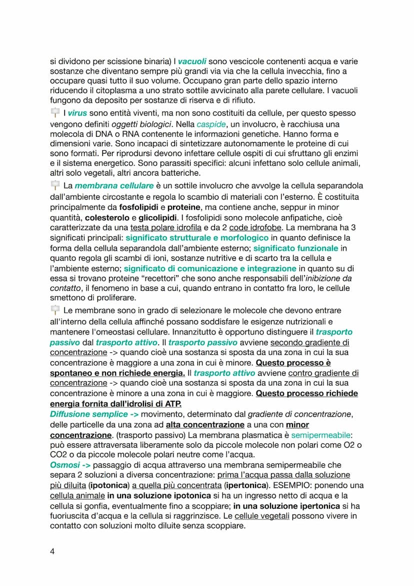 BIOLOGIA
Le molecole organiche sono in grado di interagire tra loro tramite forze deboli
non covalenti e legami ionici. I legami chimici deb