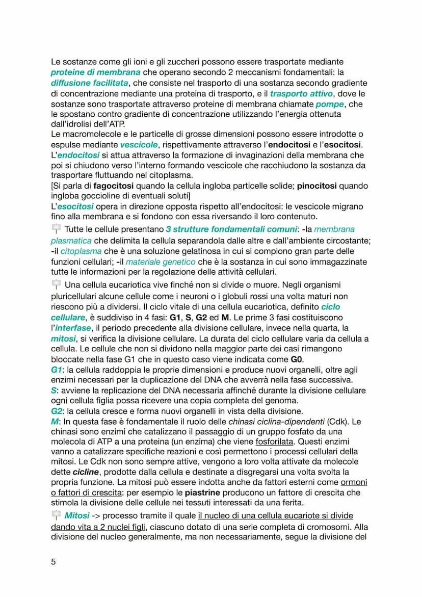 BIOLOGIA
Le molecole organiche sono in grado di interagire tra loro tramite forze deboli
non covalenti e legami ionici. I legami chimici deb
