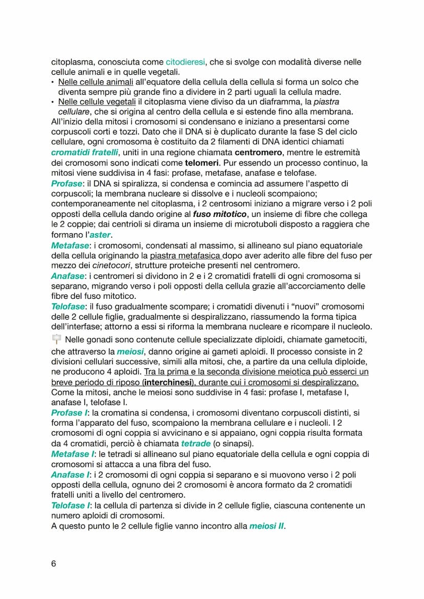 BIOLOGIA
Le molecole organiche sono in grado di interagire tra loro tramite forze deboli
non covalenti e legami ionici. I legami chimici deb