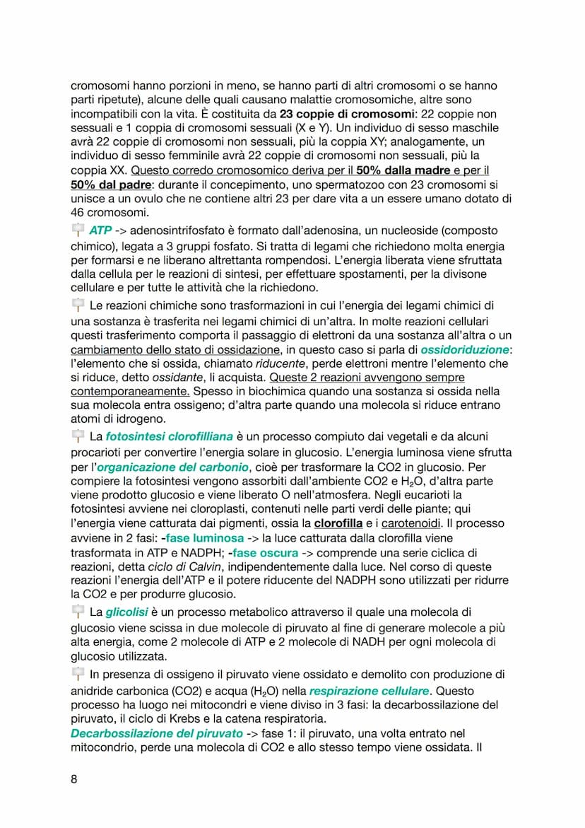 BIOLOGIA
Le molecole organiche sono in grado di interagire tra loro tramite forze deboli
non covalenti e legami ionici. I legami chimici deb