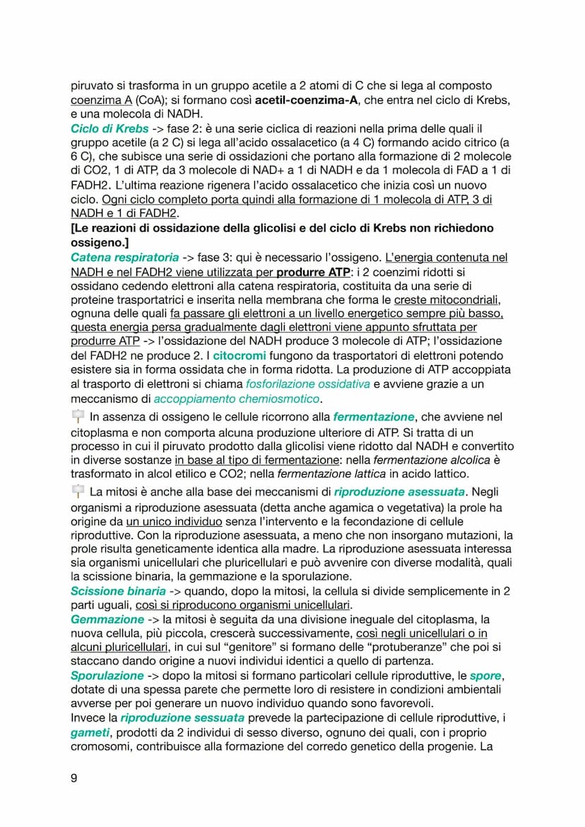 BIOLOGIA
Le molecole organiche sono in grado di interagire tra loro tramite forze deboli
non covalenti e legami ionici. I legami chimici deb
