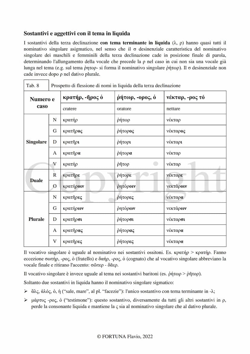 
<h2 id="laterzadeclinazione">La Terza declinazione</h2>
<p>L'autore di questo documento è Fortuna Flavio. Il documento è stato pubblicato n