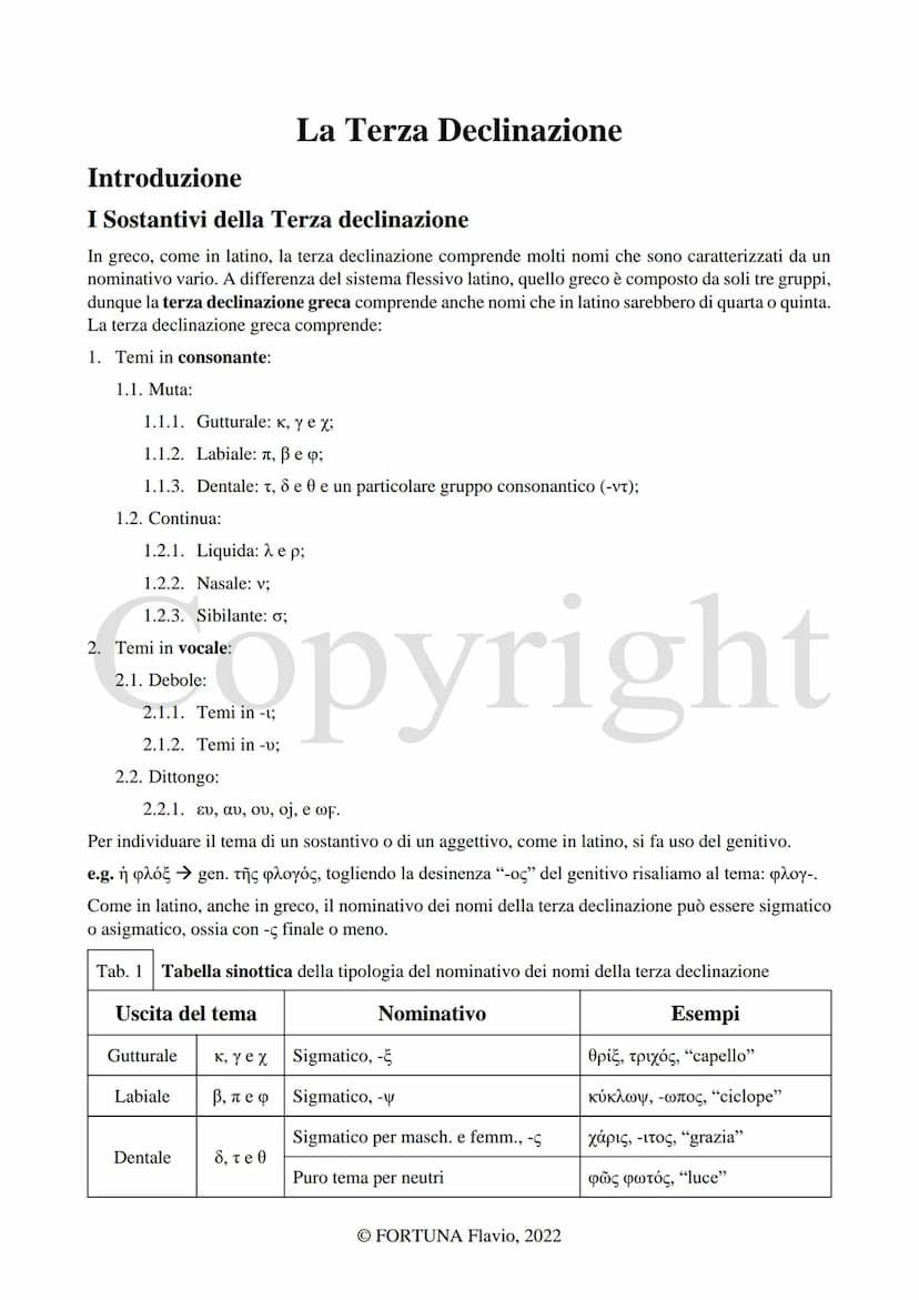 
<h2 id="laterzadeclinazione">La Terza declinazione</h2>
<p>L'autore di questo documento è Fortuna Flavio. Il documento è stato pubblicato n