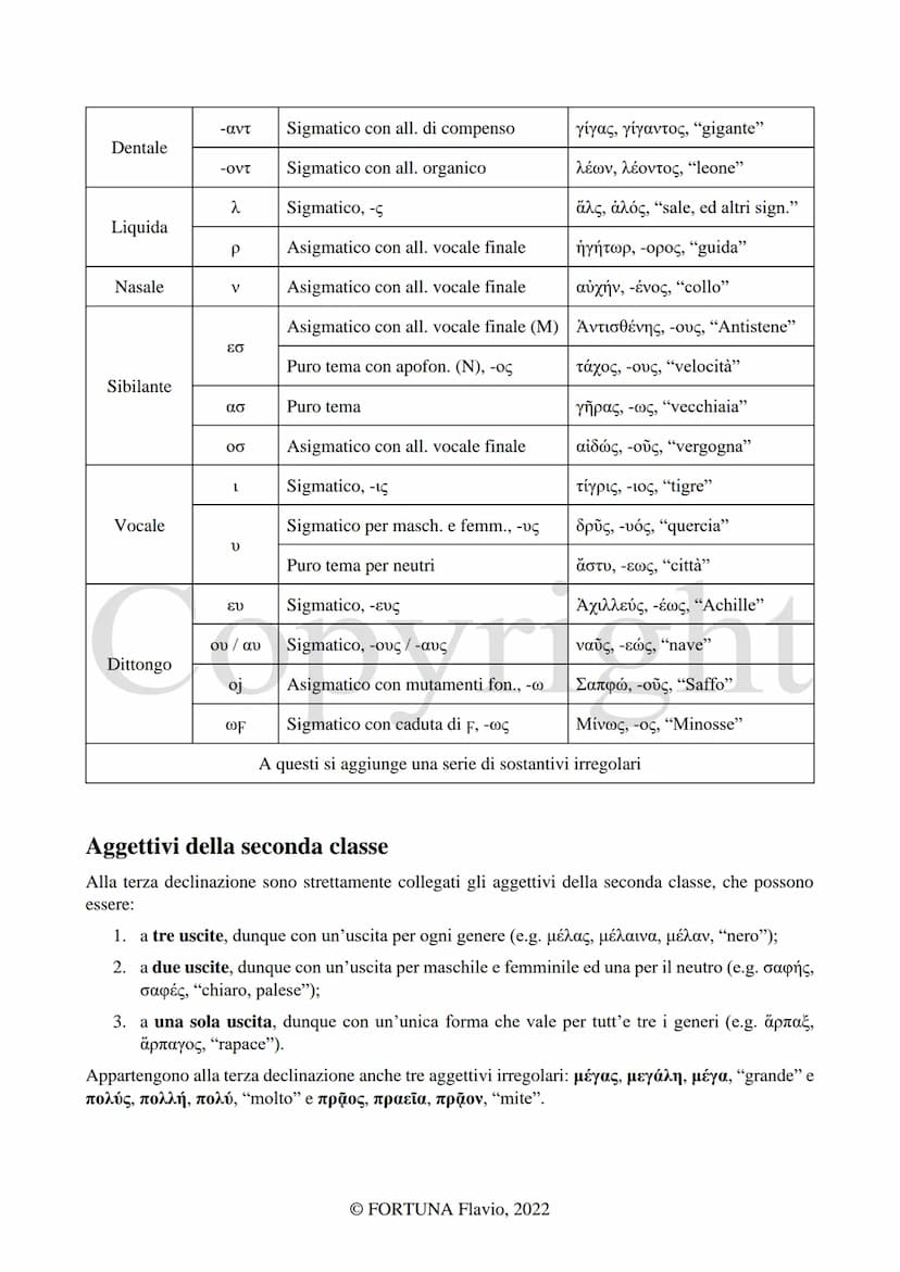 
<h2 id="laterzadeclinazione">La Terza declinazione</h2>
<p>L'autore di questo documento è Fortuna Flavio. Il documento è stato pubblicato n