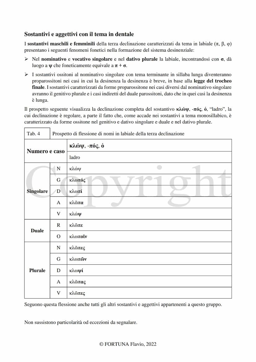 
<h2 id="laterzadeclinazione">La Terza declinazione</h2>
<p>L'autore di questo documento è Fortuna Flavio. Il documento è stato pubblicato n