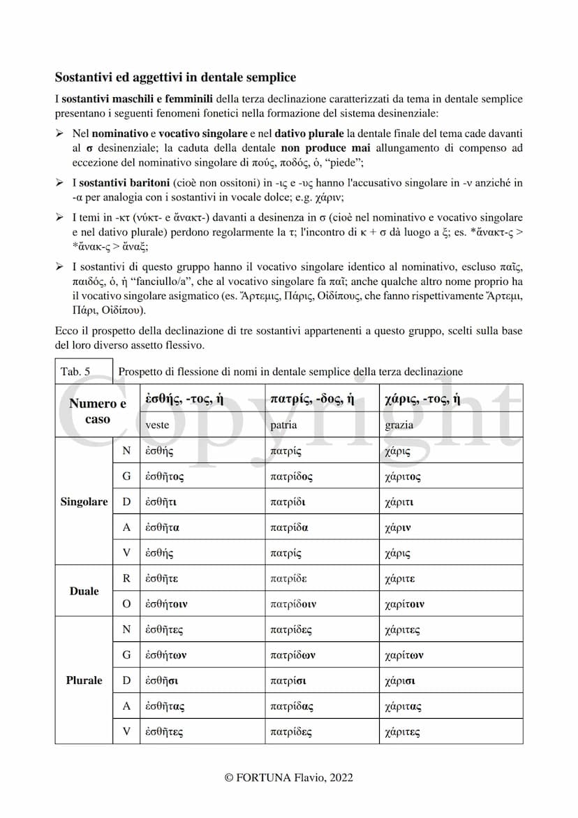 
<h2 id="laterzadeclinazione">La Terza declinazione</h2>
<p>L'autore di questo documento è Fortuna Flavio. Il documento è stato pubblicato n