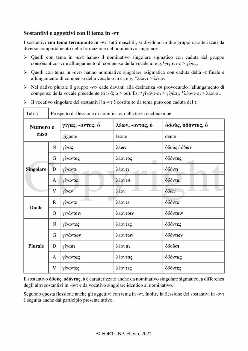 
<h2 id="laterzadeclinazione">La Terza declinazione</h2>
<p>L'autore di questo documento è Fortuna Flavio. Il documento è stato pubblicato n