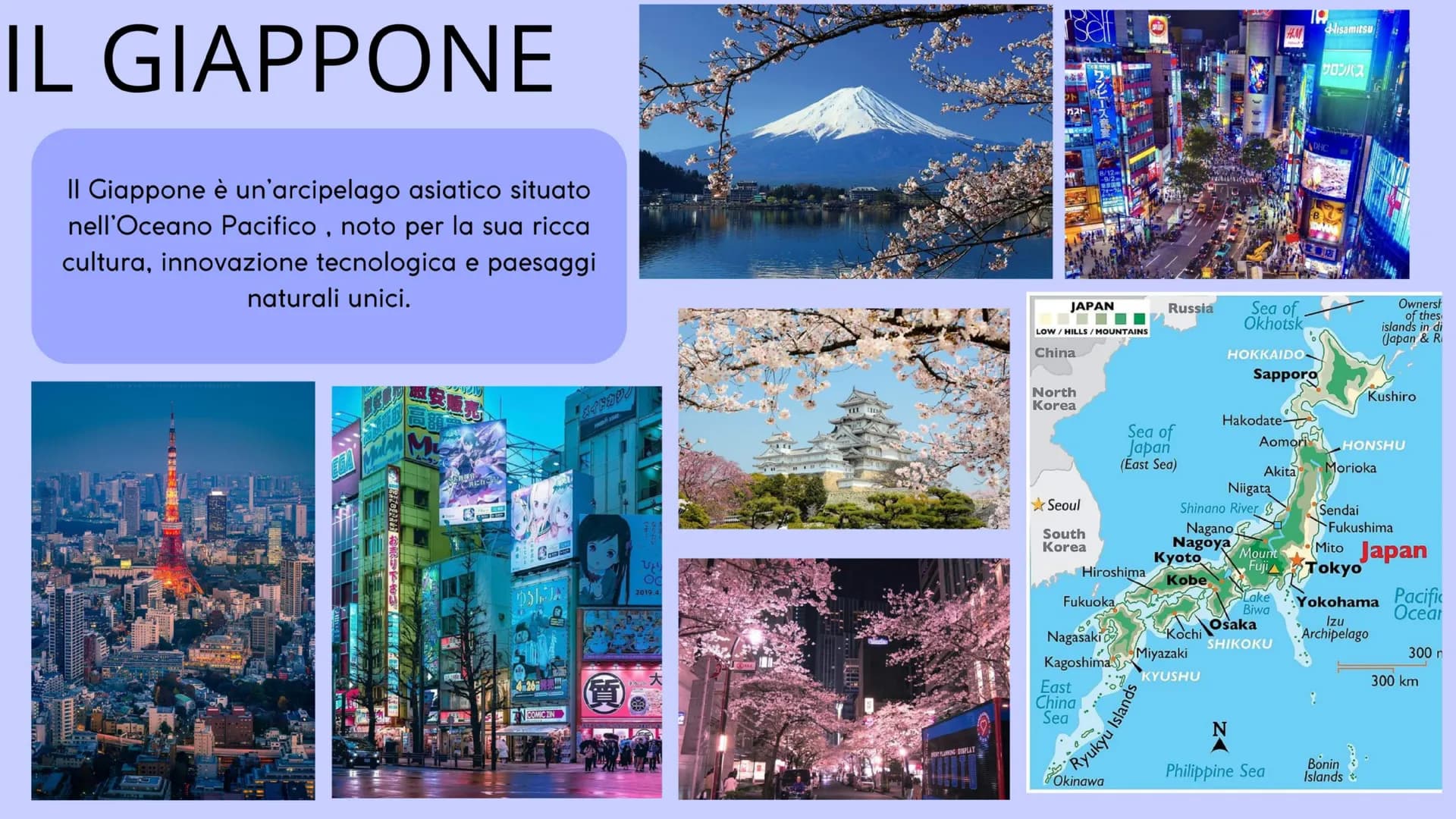 D
TESINA TERZA MEDIA
50
50
NIPPON
IL GIAPPONE
刀 Educazione civica - Usi e
costumi della geisha
Arte - La Grande Onda di
Kanagawa
Scienze - V