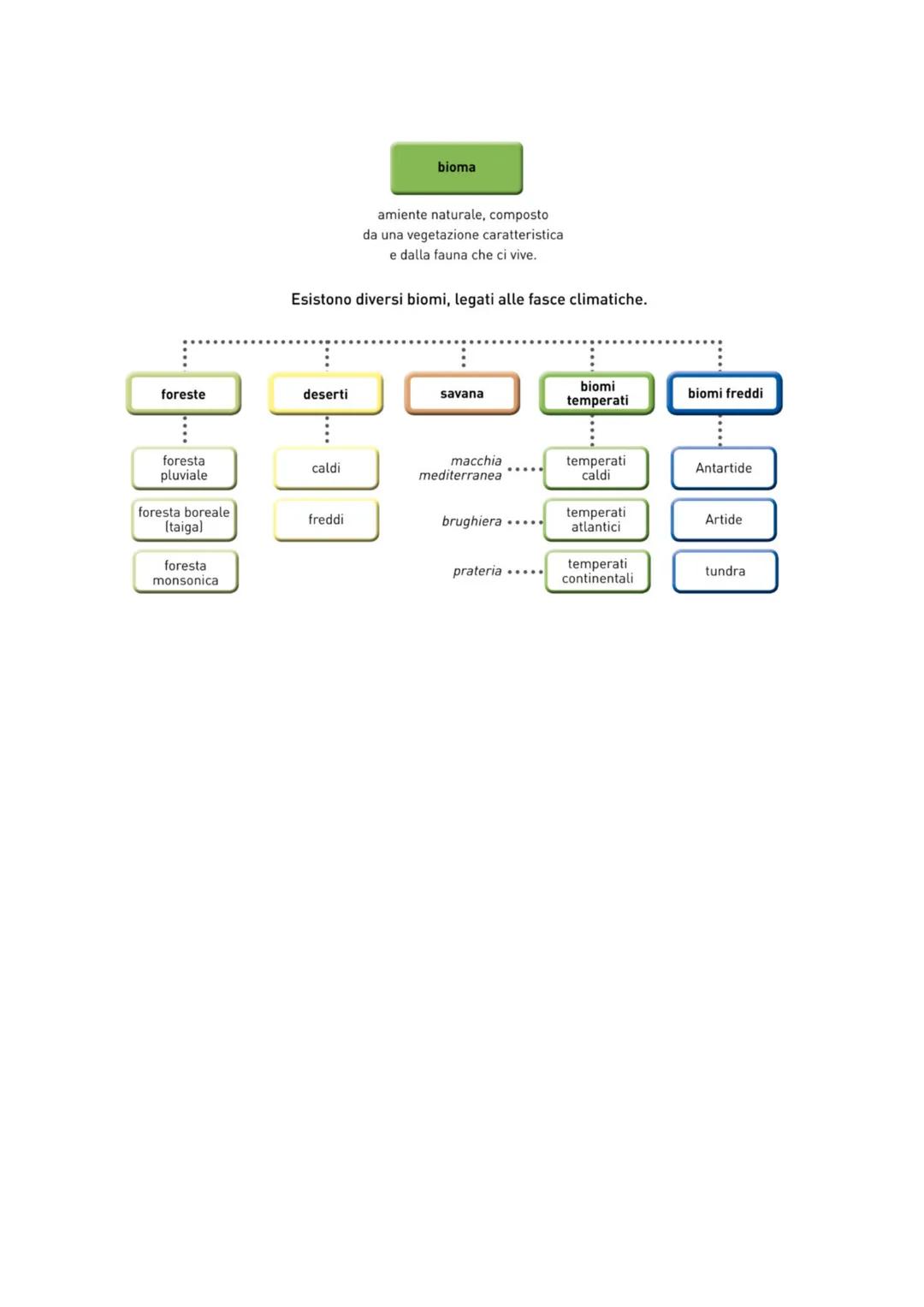 Le fasce climatiche e i biomi
Sulla Terra ci sono diverse fasce climatiche (gruppi di climi). Ogni clima ha valori specifici
di temperatura 