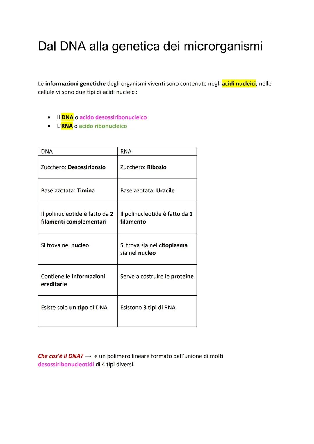 il DNA 