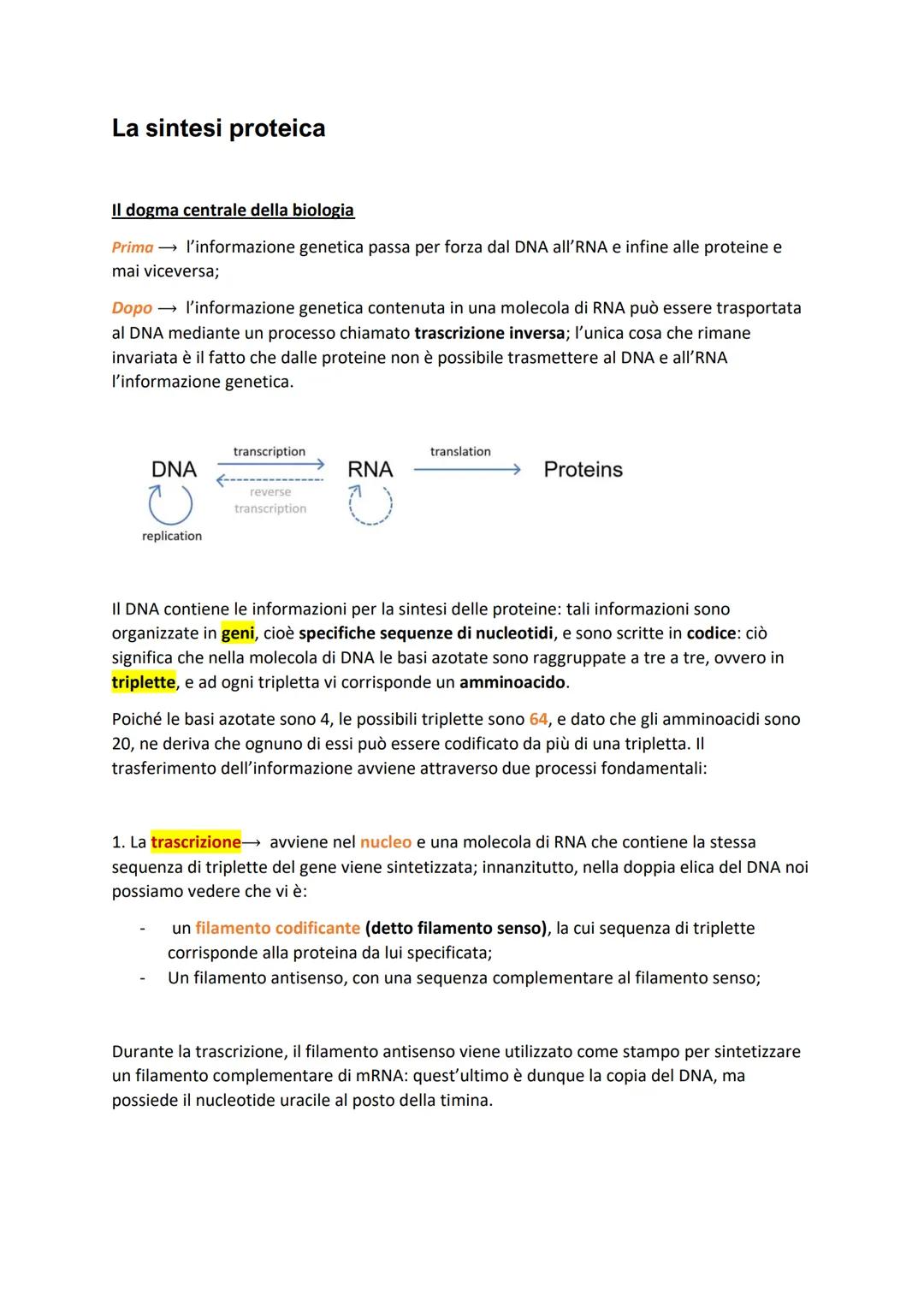 Dal DNA alla genetica dei microrganismi
Le informazioni genetiche degli organismi viventi sono contenute negli acidi nucleici; nelle
cellule