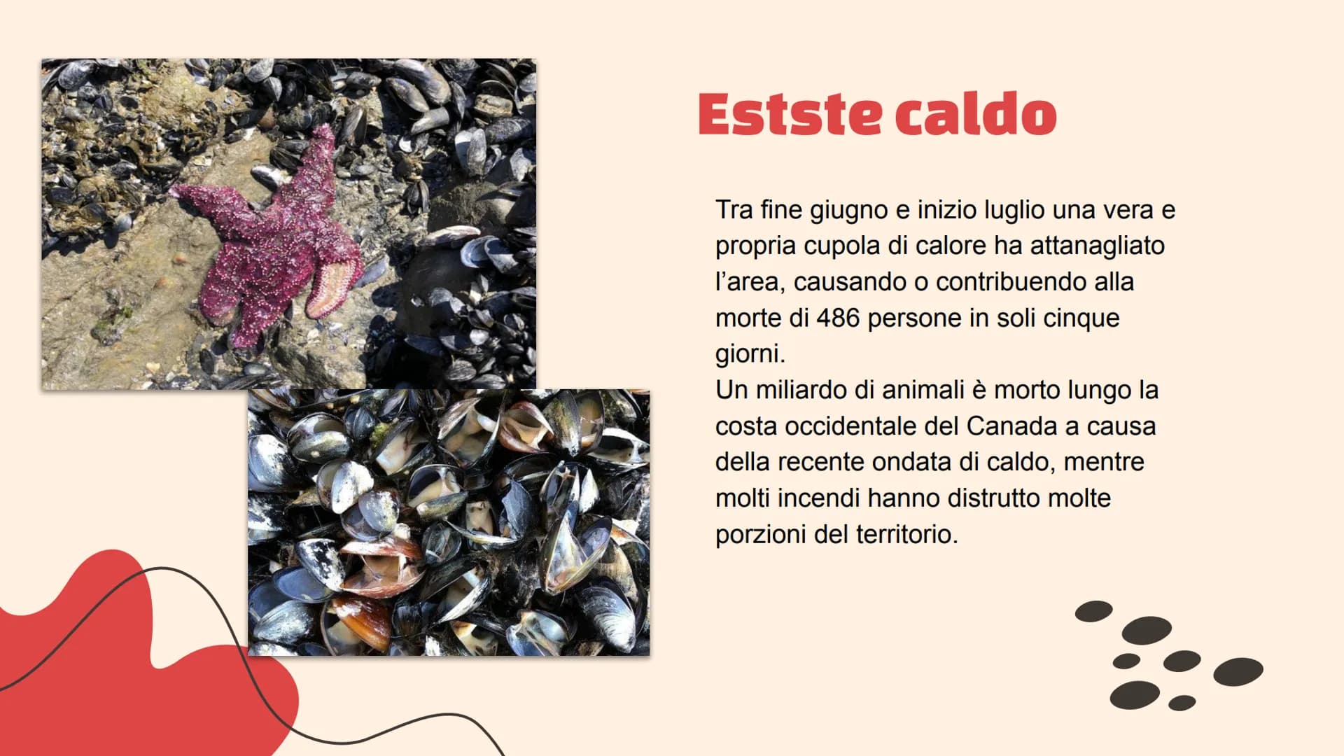 Canada Territorio
Il Canada copre un territorio molto
esteso compreso tra l'Oceano
Pacifico ad ovest e l'Oceano Atlantico
ad est (da cui il 