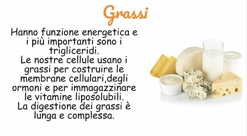Carboidrati
Hanno funzione energetica
I più importanti sono:
Amido:contenuto negli alimenti a base
di cereali
Saccarosio: zucchero da tavola