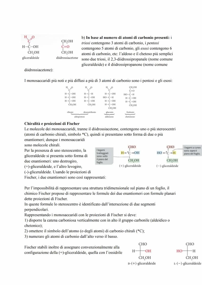 CARBOIDRATI
I carboidrati, detti anche glucidi, sono macromolecole costituite da uno scheletro di atomi di
carbonio (C) e contenenti solo at