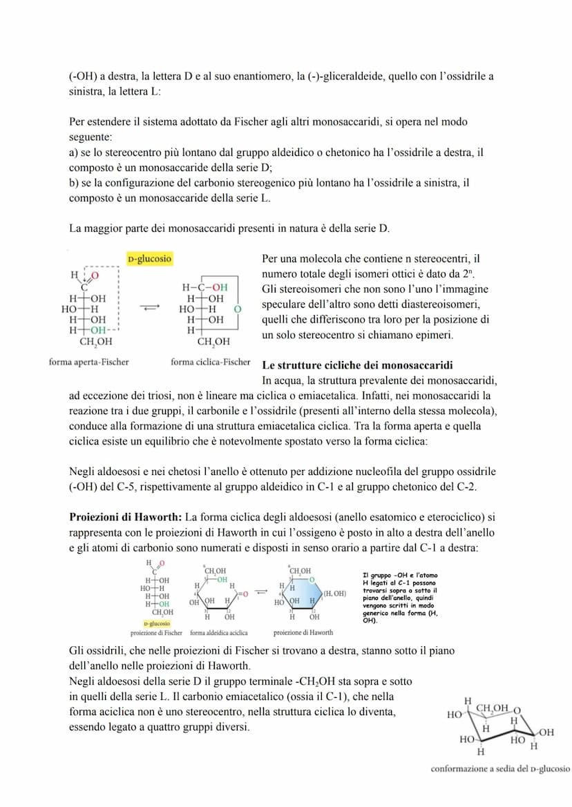 CARBOIDRATI
I carboidrati, detti anche glucidi, sono macromolecole costituite da uno scheletro di atomi di
carbonio (C) e contenenti solo at