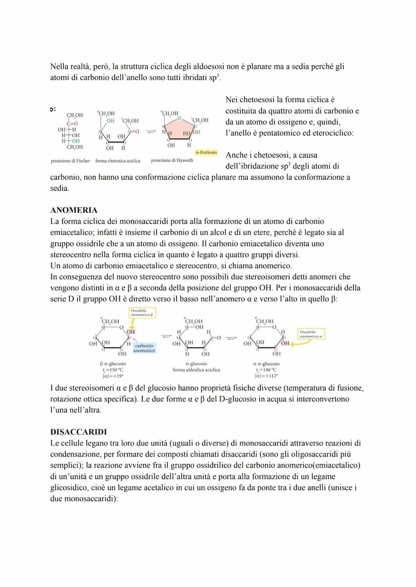 CARBOIDRATI
I carboidrati, detti anche glucidi, sono macromolecole costituite da uno scheletro di atomi di
carbonio (C) e contenenti solo at