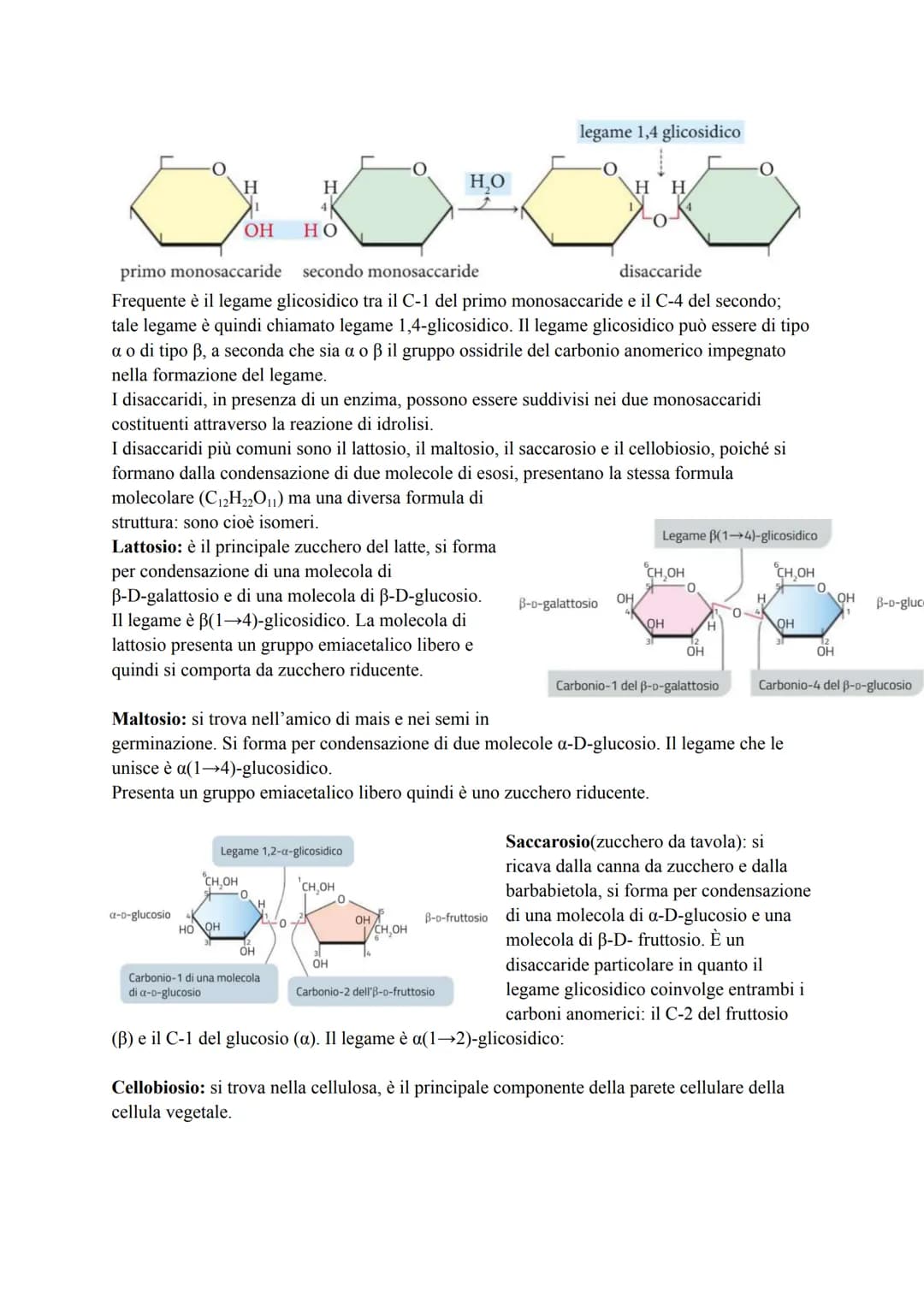 CARBOIDRATI
I carboidrati, detti anche glucidi, sono macromolecole costituite da uno scheletro di atomi di
carbonio (C) e contenenti solo at