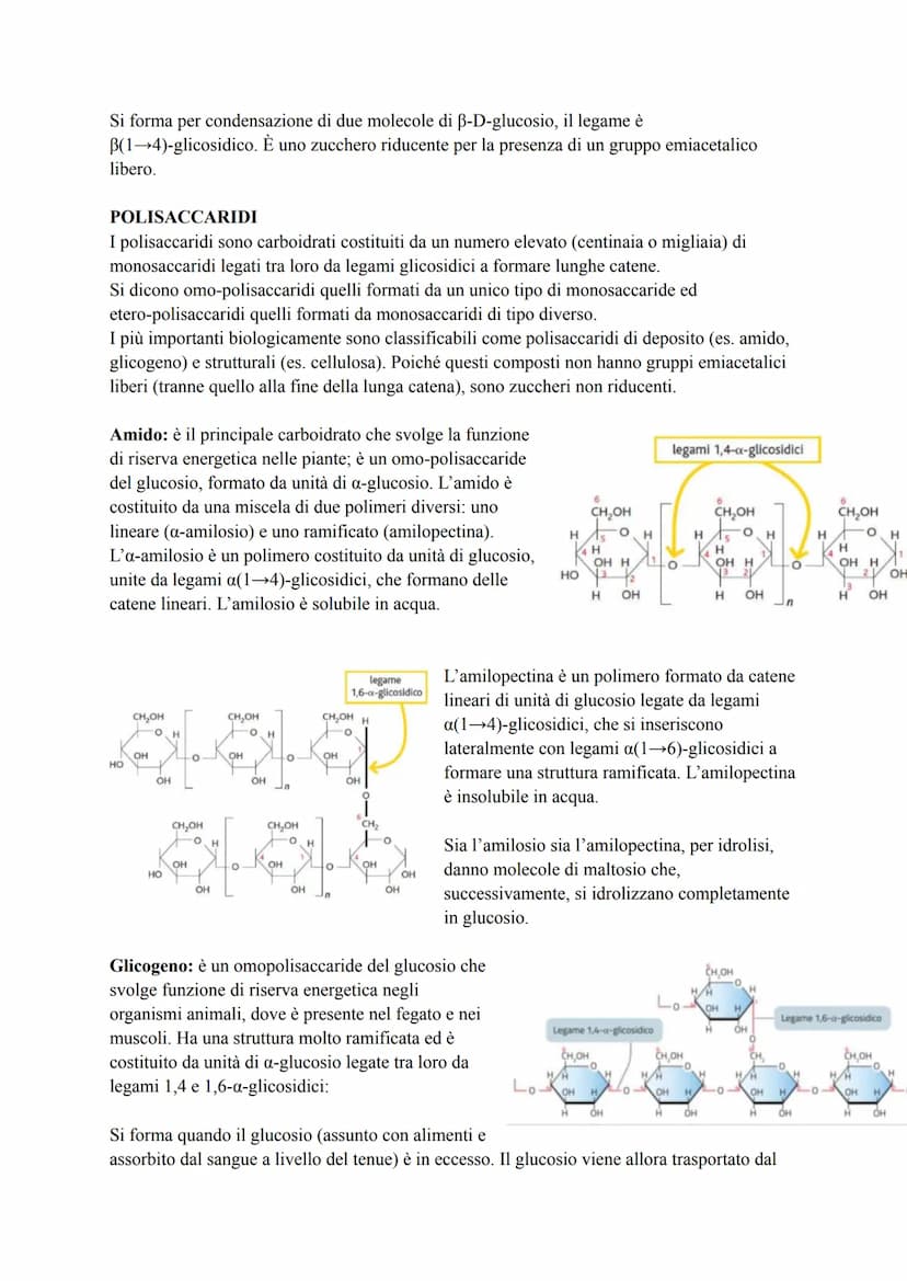 CARBOIDRATI
I carboidrati, detti anche glucidi, sono macromolecole costituite da uno scheletro di atomi di
carbonio (C) e contenenti solo at