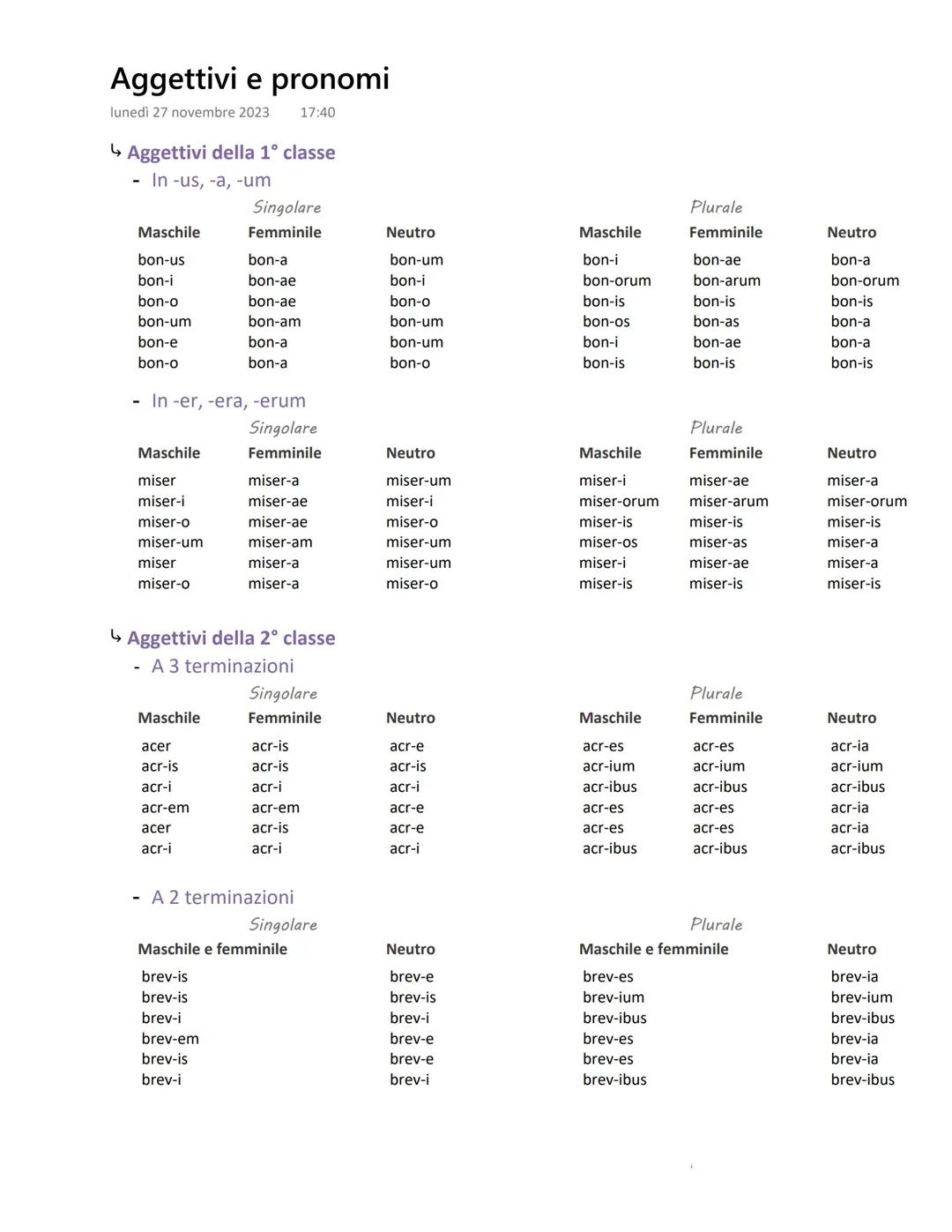 Scopri gli Aggettivi e Pronomi in Latino