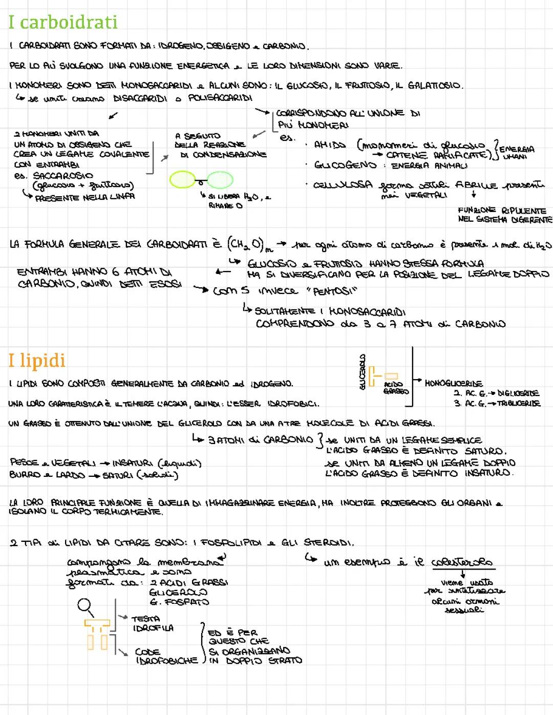 Carboidrati e Lipidi: Le Basi della Biologia