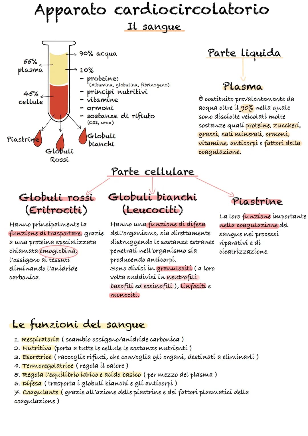 Apparato cardiocircolatorio
55%
plasma
45%
cellule
Piastrine
Globuli
Rossi
90% acqua
10%
-
proteine:
(Albumina, globulina, fibrinogeno)
Il s