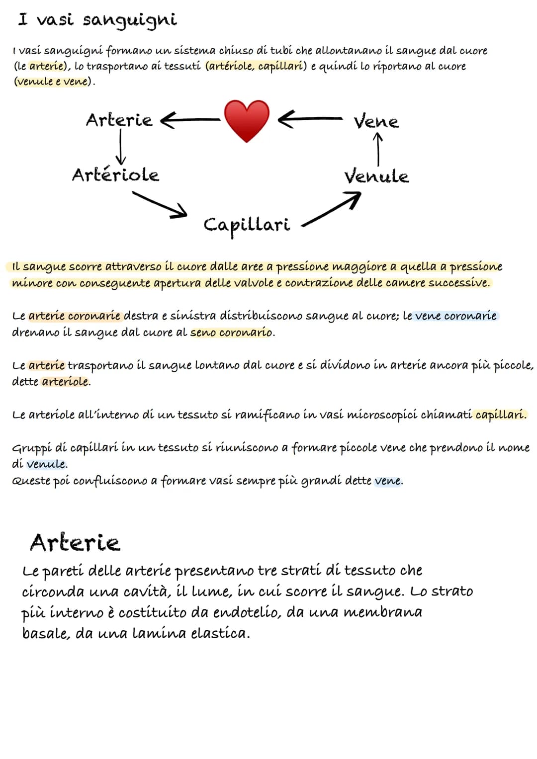 Apparato cardiocircolatorio
55%
plasma
45%
cellule
Piastrine
Globuli
Rossi
90% acqua
10%
-
proteine:
(Albumina, globulina, fibrinogeno)
Il s