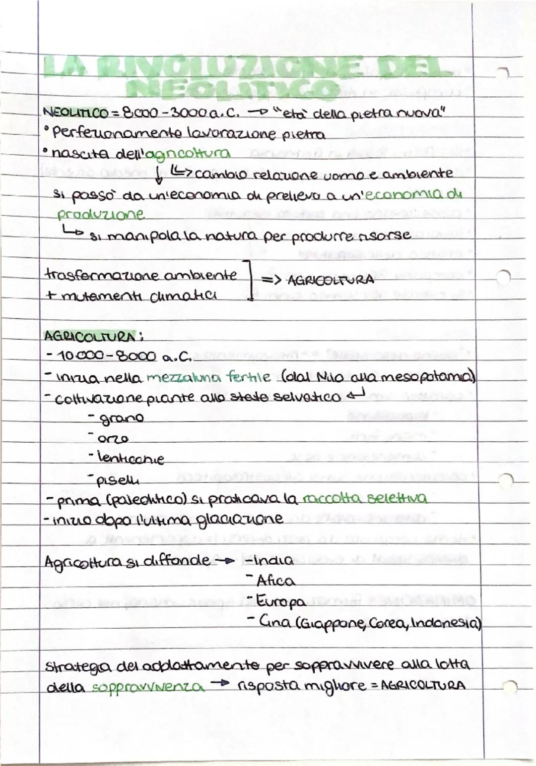 # LA RIVOLUZIONE DEL
NEOLITICO
NEOLITICO = 8000-3000 a.C. $\rightarrow$ "età della pietra nuova"
*   Perfezionamento lavorazione pietra
*   
