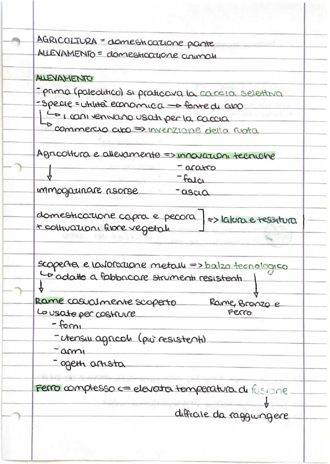 # LA RIVOLUZIONE DEL
NEOLITICO
NEOLITICO = 8000-3000 a.C. $\rightarrow$ "età della pietra nuova"
*   Perfezionamento lavorazione pietra
*   