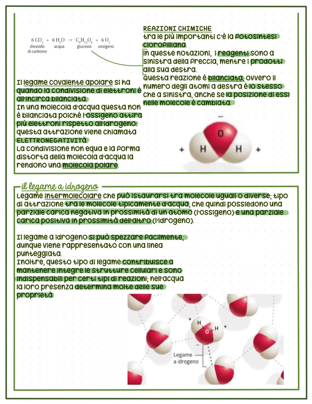 La chimica della vita
MATERIA: qualsiasi cosa che occupi dello spazio
e che abbia una massa; esiste in soltanto tre
stati fisici distinti (S