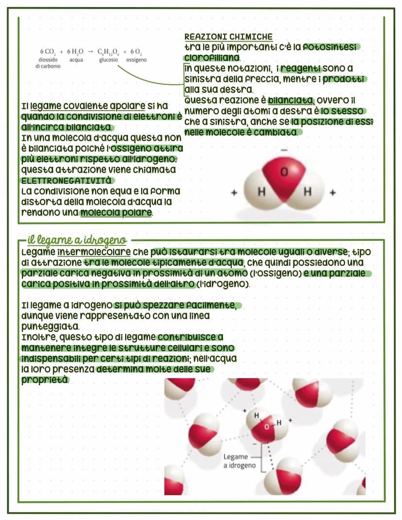 La chimica della vita
MATERIA: qualsiasi cosa che occupi dello spazio
e che abbia una massa; esiste in soltanto tre
stati fisici distinti (S