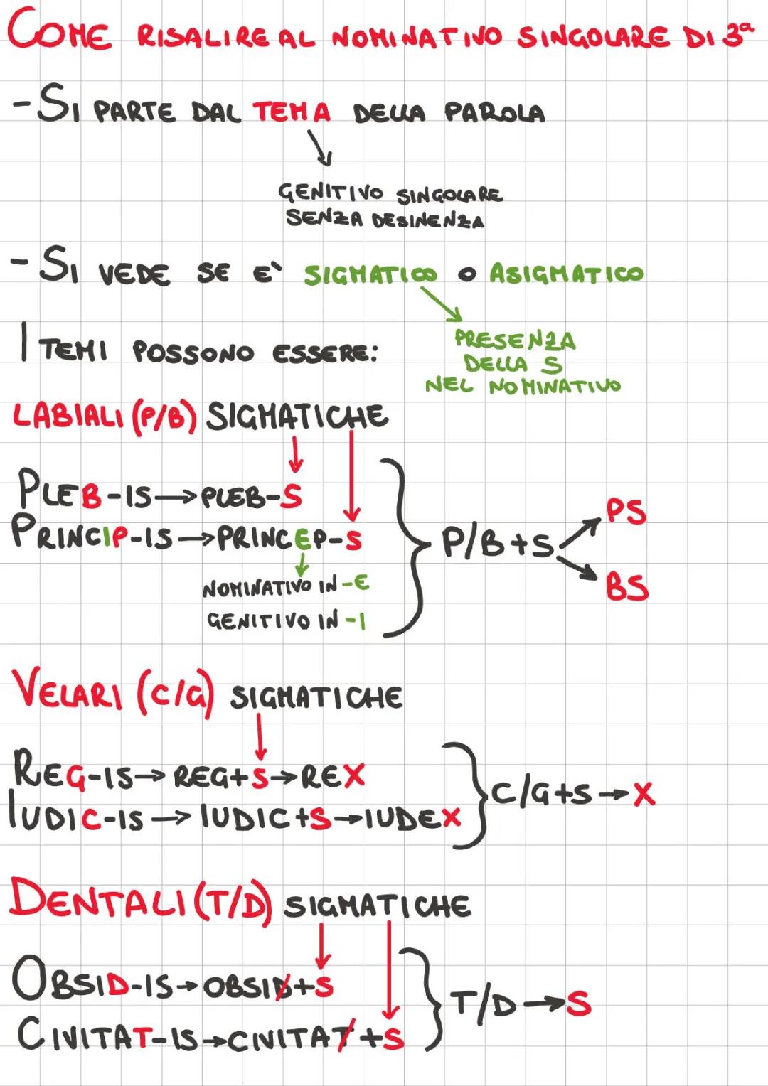 Scopri il Nominativo della 3ᵃ Declinazione