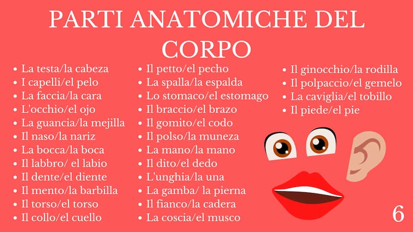 SPAGNOLO
PROGRAMMA
DEL CORSO
PROFESSORE INDICE
1
-ALFABETO.
2 -SALUTI FORMALI/INFORMALI.
3 -GIORNI DELLA SETTIMANA.
3.1 -MESI DELL'ANNO.
4 -