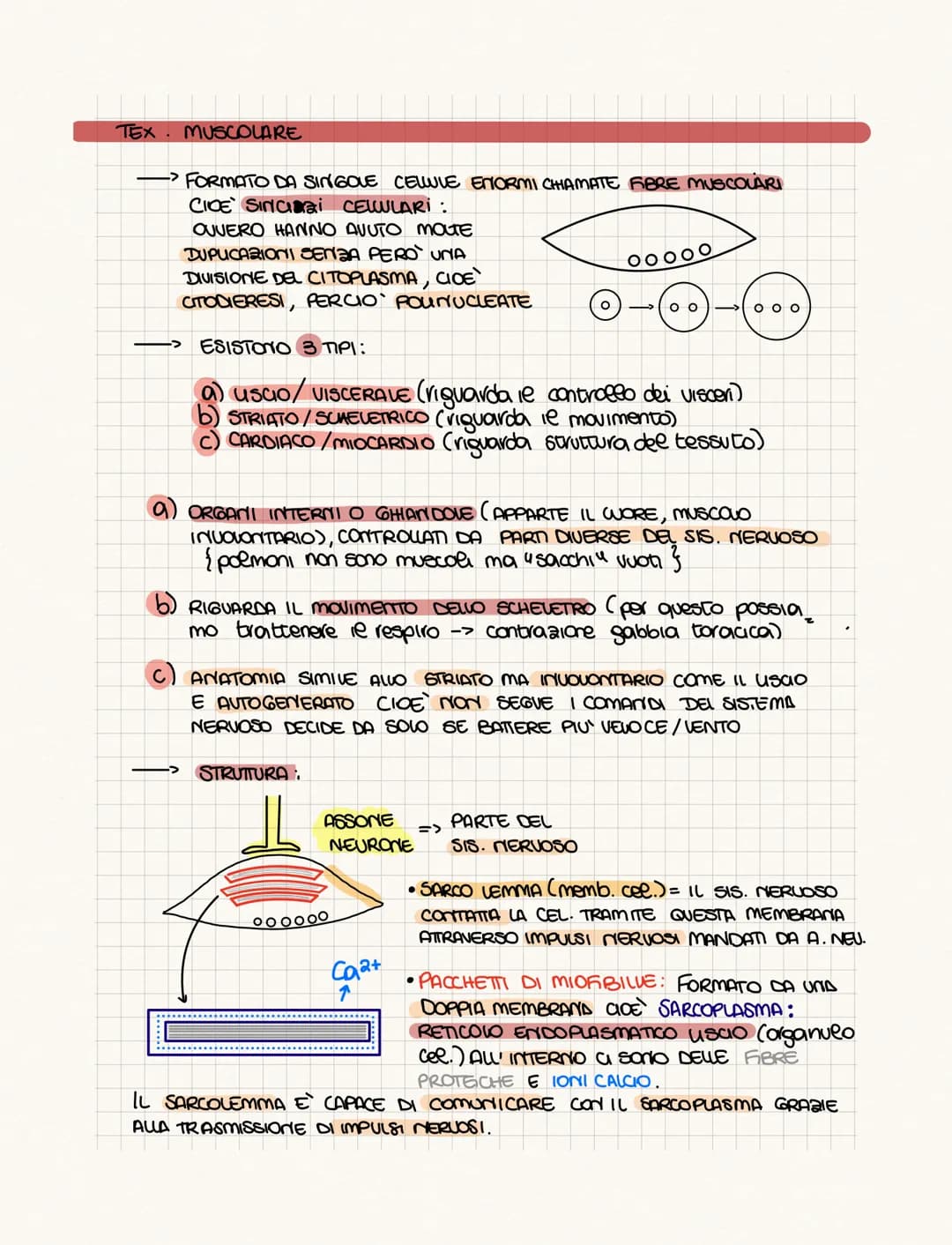 .……………….
DIFFERENZA TRA ANATOMIA E FISIOLOGIA?
•FISIOLOGIA: COME FUNCIONA
• ANATOMIA: COME SONO FATTI (strutture)
PROVOGO
4 GRUPPI DI CELWIE