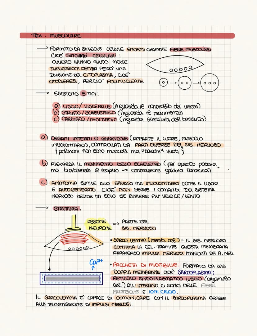 .……………….
DIFFERENZA TRA ANATOMIA E FISIOLOGIA?
•FISIOLOGIA: COME FUNCIONA
• ANATOMIA: COME SONO FATTI (strutture)
PROVOGO
4 GRUPPI DI CELWIE