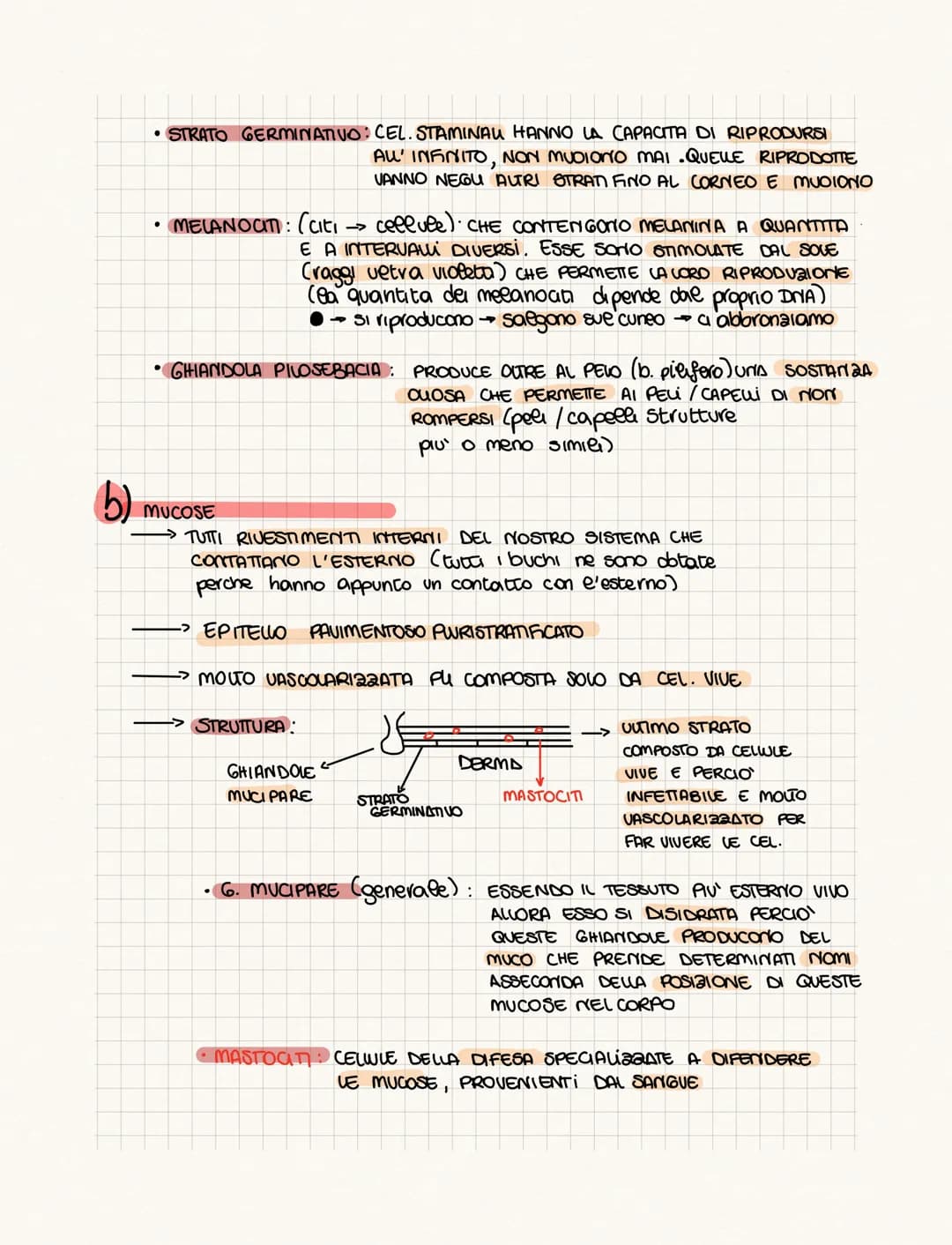 .……………….
DIFFERENZA TRA ANATOMIA E FISIOLOGIA?
•FISIOLOGIA: COME FUNCIONA
• ANATOMIA: COME SONO FATTI (strutture)
PROVOGO
4 GRUPPI DI CELWIE